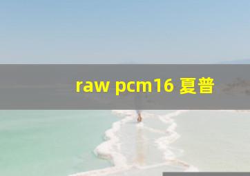 raw pcm16 夏普